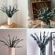 thumbnail image 5 of Paquete de 10 Eucaliptos Secos Naturales, Ramas de Eucalipto Frescas Conservadas para Arreglos Florales Bodas DecoracióN del Hogar, 5 of 5