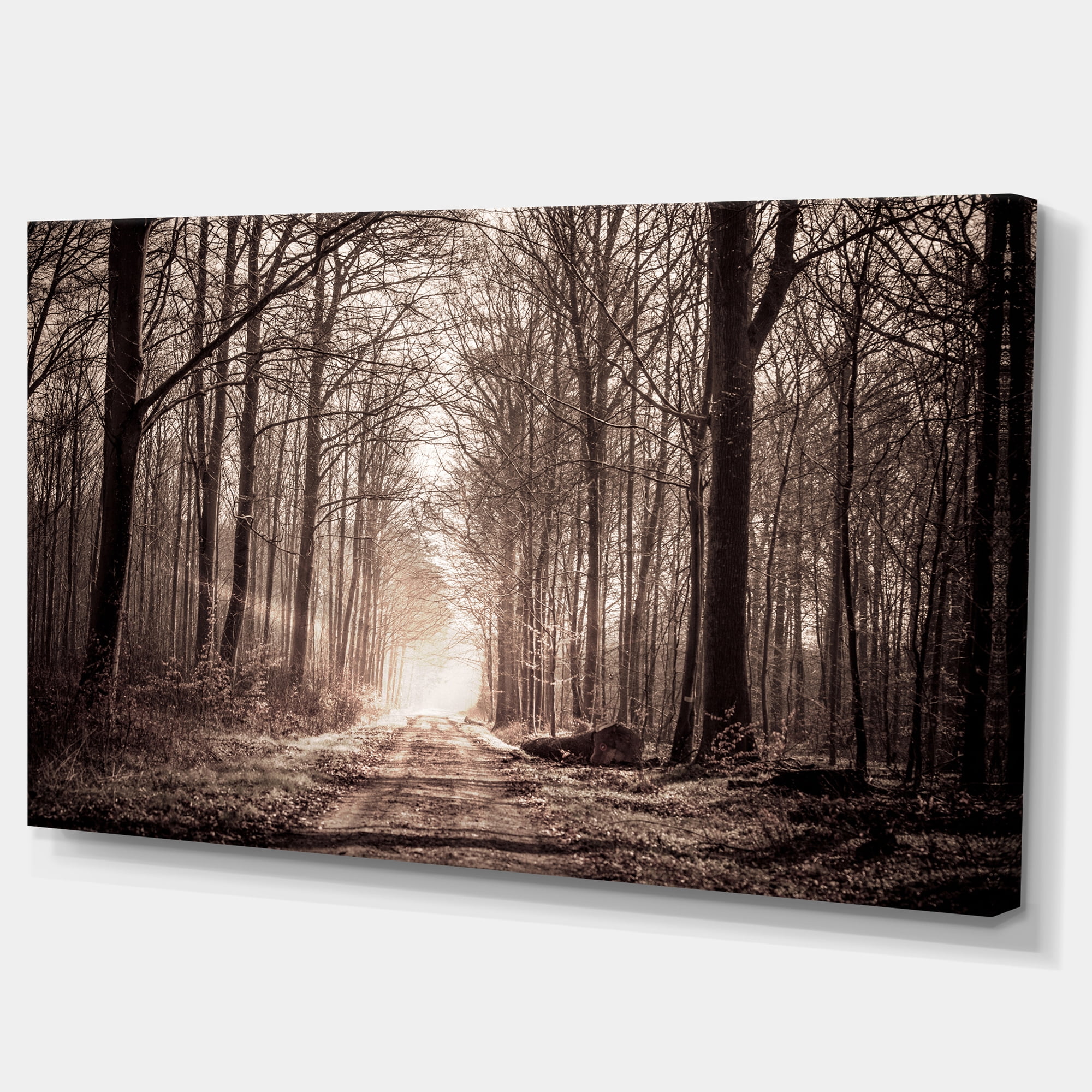 Designart 'Forest Trail in Sepia ' Landscape Photography Canvas Art Print