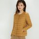 thumbnail image 1 of Otoño e Invierno, chaqueta de plumón forrada de manga larga con cuello redondo y cuello redondo de Color sólido claro para mujer, chaqueta de plumón de talla grande 90, 1 of 6