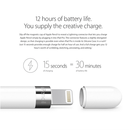 Apple Pencil (1st Generation) - White