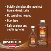 Whink Rust Stain Remover, 32 oz