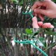 thumbnail image 4 of Soportes para enredaderas, ataduras de jardín reutilizables e impermeables, materiales livianos de calidad PE, usos múltiples para jardines, garajes, patios, hogares, oficinas y talleres, 100 piezas, 4 of 5