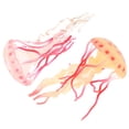 thumbnail image 2 of KAKOWELY 2pcs Jellyfish Model Simulated Marine Animals Model Kids Science Educational Props,5.12"X2.56"X2.56", 2 of 5