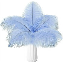Nvzi-a 24pcs Baby Blue Ostrich Feathers Natural Bulk 10-12Inch 25cm-30cm for Wedding Party Centerpieces Easter Gatsby and Home Decorate Ostrich Feathers