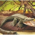 thumbnail image 4 of Alligator Puppet (Other), 4 of 4