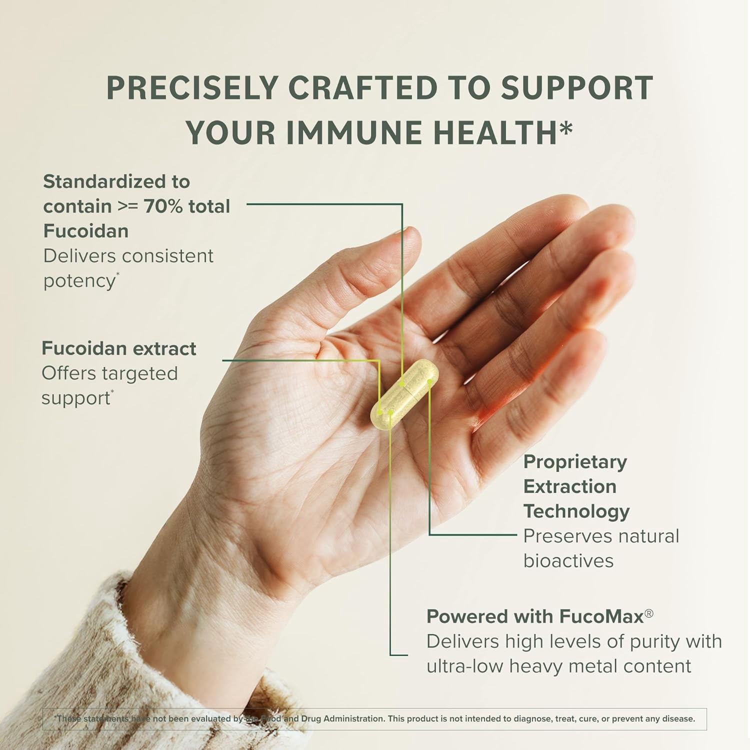 Prominent Nutrition Fucoidan Gut Health & Immune Support Supplement – 250mg, 60 count – Brown Seaweed Extract - Immune System & Digestion Supplement