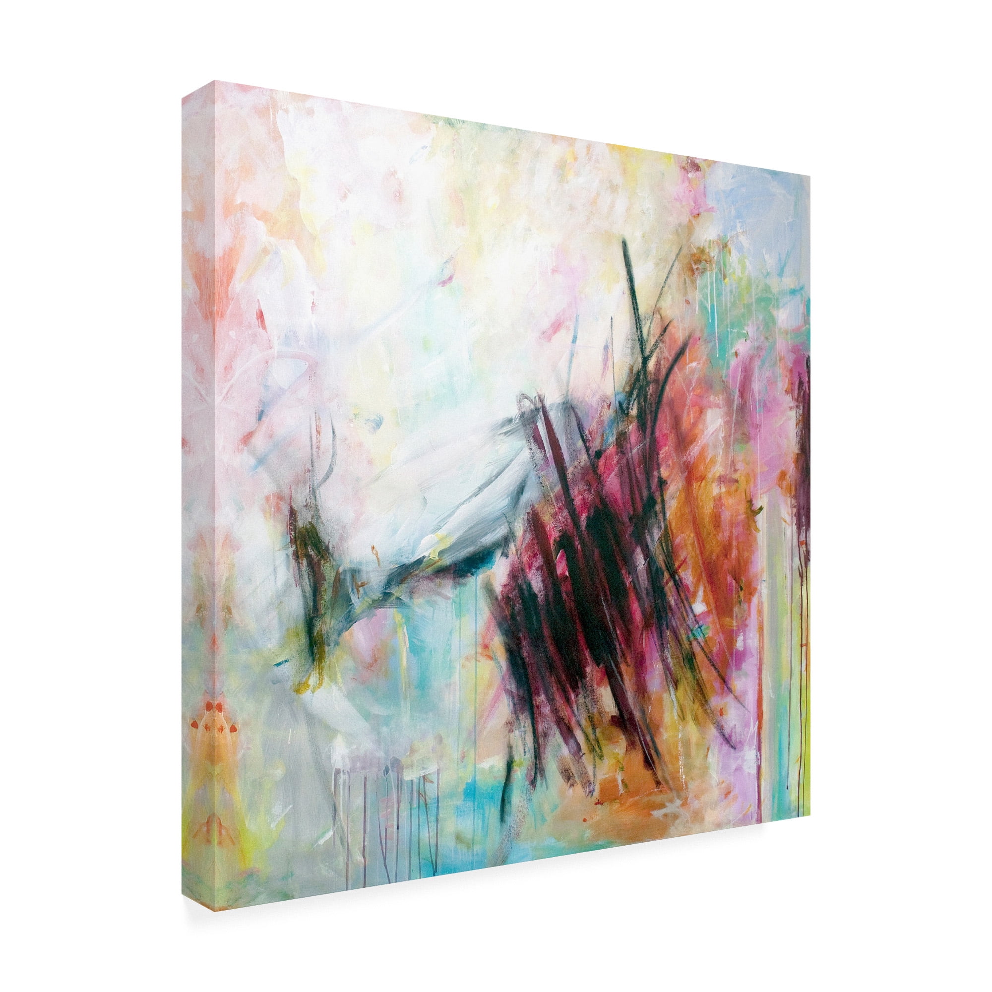 Trademark Fine Art 'To See' Canvas Art by Melissa McGil