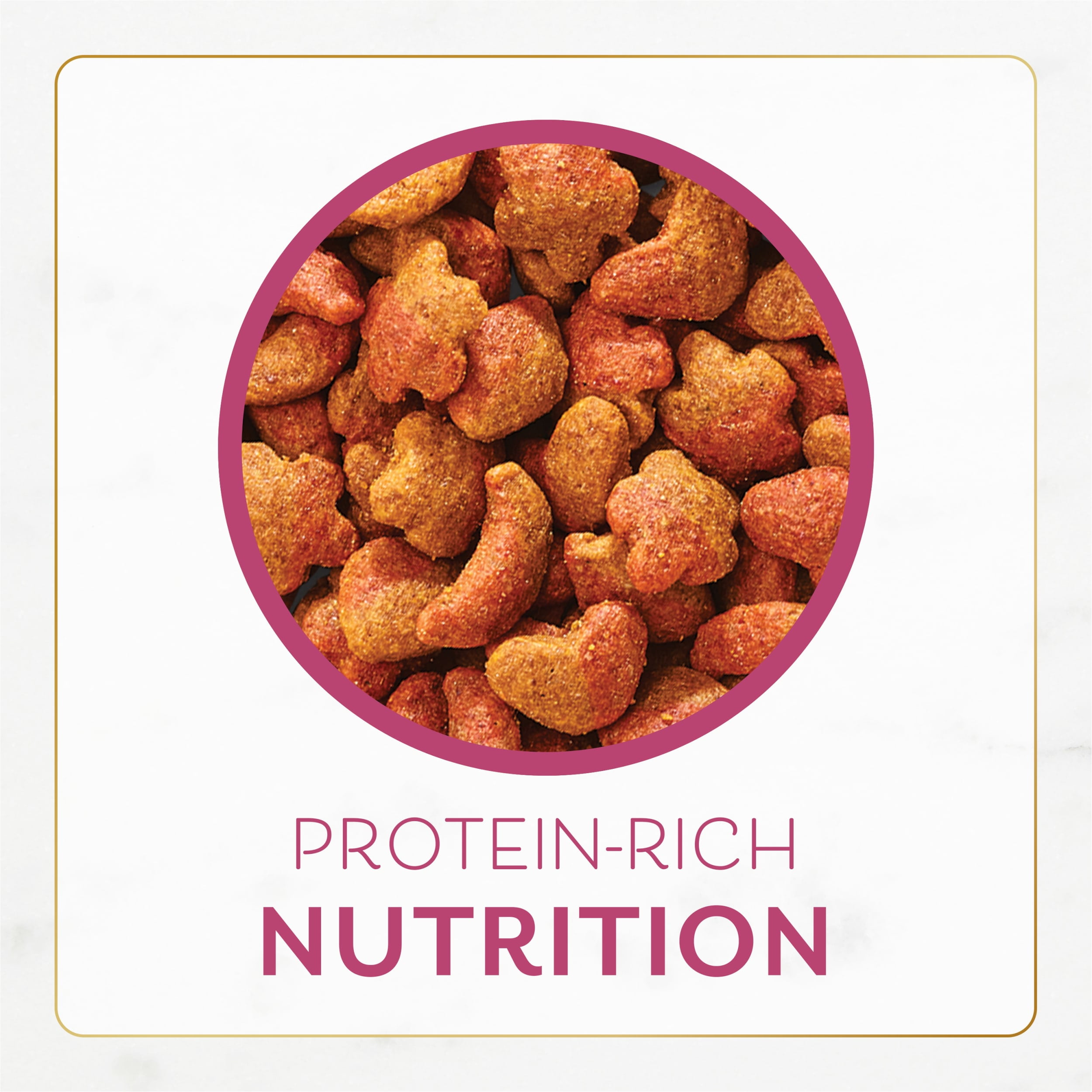 Fancy feast filet store mignon dry food