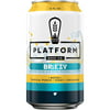 Platform Session Sour Ale Breezy Beer 12 fl oz Can, Alc by vol 5%% ABV