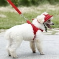 thumbnail image 4 of IKemiter Creative Pet Hats Breathable and Comfortable with Ear Holes Dog Sport Baseball for Sun Protection, 4 of 7