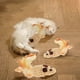 thumbnail image 4 of Peluches de pollo y ratón para gatos y perros | Juguetes interactivos para mascotas para rascar y jugar | Juguetes para aliviar el estrés y la ansiedad de las mascotas, 4 of 6