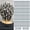 Grey-60Pcs, variant on Perm Rods For Short Hair 40Pcs Beige Perm Rods For Black Women Plastic Curl Cold Wave Medium Size Peach Hair Rollers For Hair Styling Hairdressing Tools(Beige,40PCS)