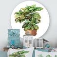 thumbnail image 2 of Designart 'Green Croton In Clay Flowerpot' Traditional Circle Metal Wall Art 11x11 - Disc of 11, 2 of 5