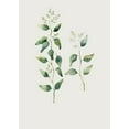 thumbnail image 2 of Incado 14x18 White Modern Wood Framed Museum Art Print Titled - Botanical I, 2 of 4