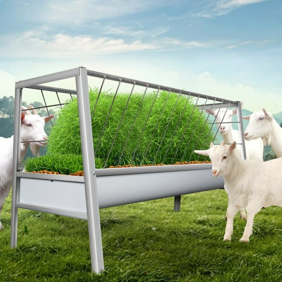Galvanized Steel Livestock Feeding Station, 77 Gal Goat Feeder Tray, Dual-Compartment Design, Feeder Sink, Corrosion-Proof Build, Farm, Pasture, Goat, Horse​