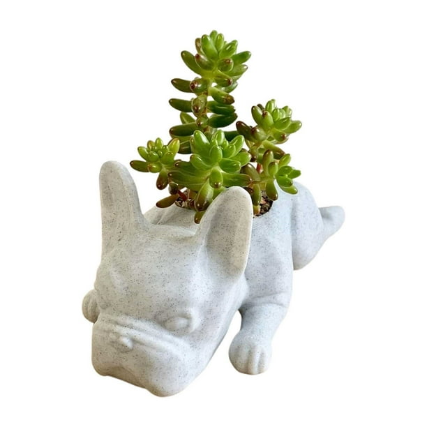 Perros De Resina Maceta Para Plantas Suculentas Mini Maceta Para Cachorros Bulldogs Franceses Forma Bonitas Macetas Bonsái Para El Hogar, El Jardín Y El Escritorio Blanco