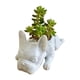 thumbnail image 1 of Perros De Resina Maceta Para Plantas Suculentas Mini Maceta Para Cachorros Bulldogs Franceses Forma Bonitas Macetas Bonsái Para El Hogar, El Jardín Y El Escritorio Blanco, 1 of 8
