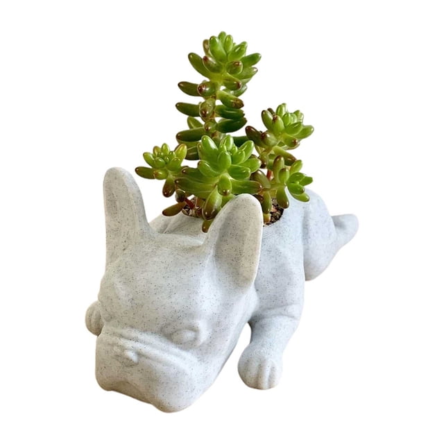 Conteneur de Jardin pour Chat Fleur pour Intérieur Extérieur Jardinière en Résine Chiens Succulents Mini Jardinière Chiot Forme Française Pots de Bonsaï Mignons pour Maison Jardin Bureau