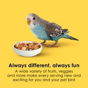 Kaytee Fiesta Parakeet Food 2 Pounds