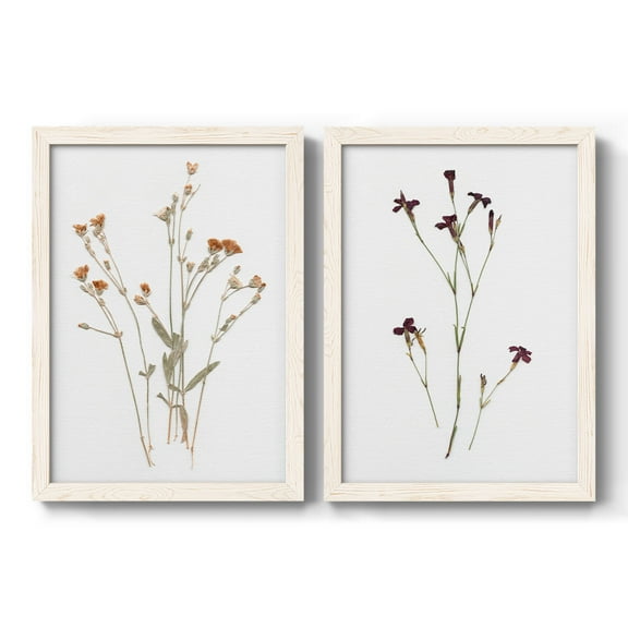 Pressed Botanical I - Premium Framed Canvas 2 Piece Set - Ready to Hang