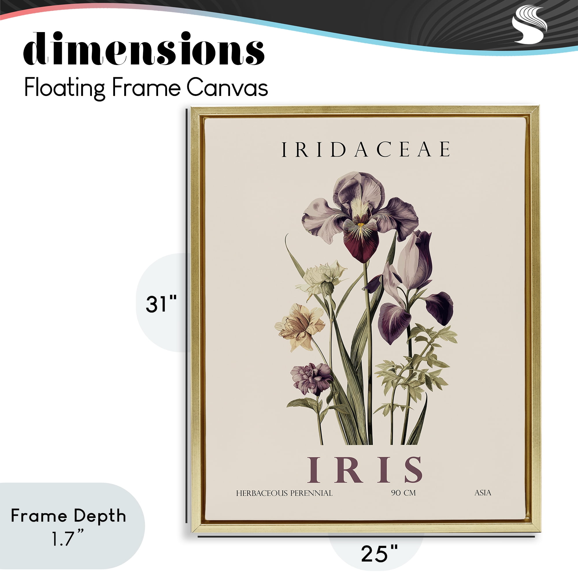 Stupell Industries Natural Iris Bundle Gold Framed Floater Canvas Wall Art, design by Christopher Giampietro