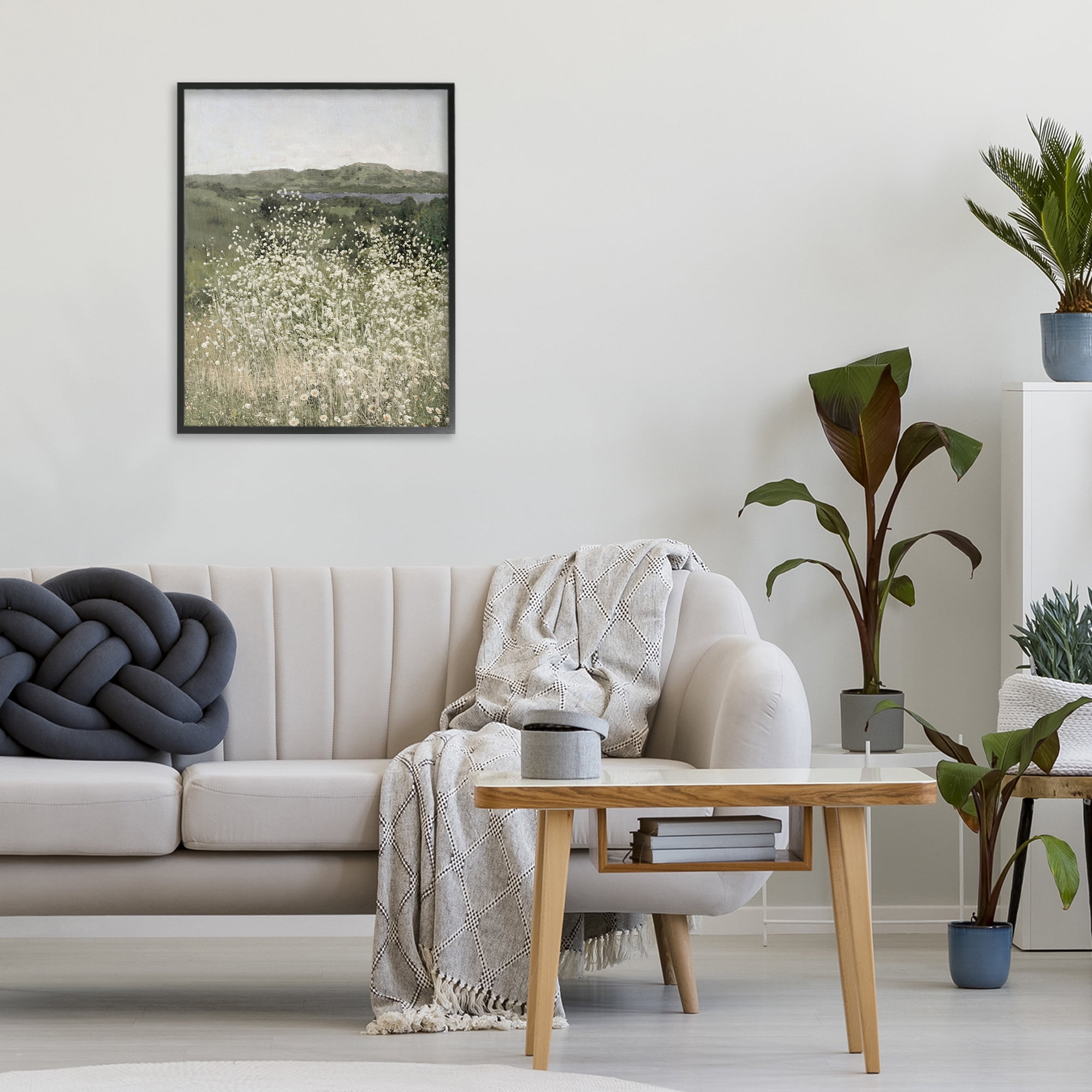 Stupell Industries Sunlit Meadow of White Daisies Black Framed Giclee Art, design by Amber Sterling
