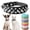 Black, variant on Miaocao Small Spiked Dog Cat Collar for Small Medium Dogs Boy Male - Adjustable Studded Puppy Collars - Soft Padded Punk Leather Dog Collar for Chihuahua Yorkie French Bulldog Pug