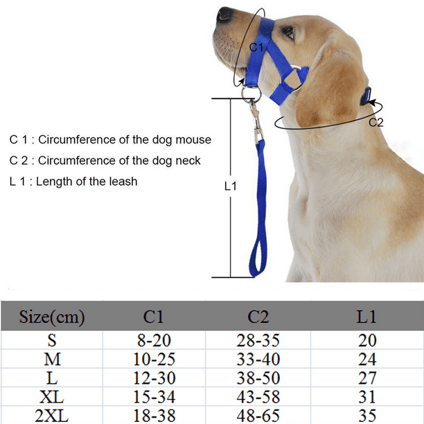 Dog clearance face lead