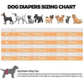 thumbnail image 5 of Pantalon de Protection Ajustable pour Chien, Lavable, pour Saignement, 5 of 5