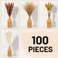 thumbnail image 3 of Sanmadrola Pampas Grass Boho Decor 100 PCS Home Decoration Boho Flowers Home Table Decor Rustic Farmhouse Party 17'', 3 of 7