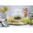thumbnail image 3 of Heatproof Glass Teapot Set with Removable Loose Tea Infuser and Four Glass Teacups, 3 of 7