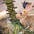 thumbnail image 7 of Qweryboo 2 Pcs Rabbit Chew Toys, Bunny Hanging Chew Toys for Teeth, Apple Sticks with Timothy Hay Balls Grass Pets Chew Treats for Hamsters, Rabbits, Chinchilla, Guinea Pigs, 7 of 7