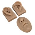 thumbnail image 4 of Practice Model, Display Nose Model Simulation Silicone  For Hospital For Doctor Light Skin Color,Medium Skin Color,Dark Skin Color, 4 of 8