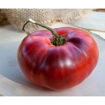 Indigo Apple Dark Purple Beefsteak Heirloom Tomato Premium Seeds Packet