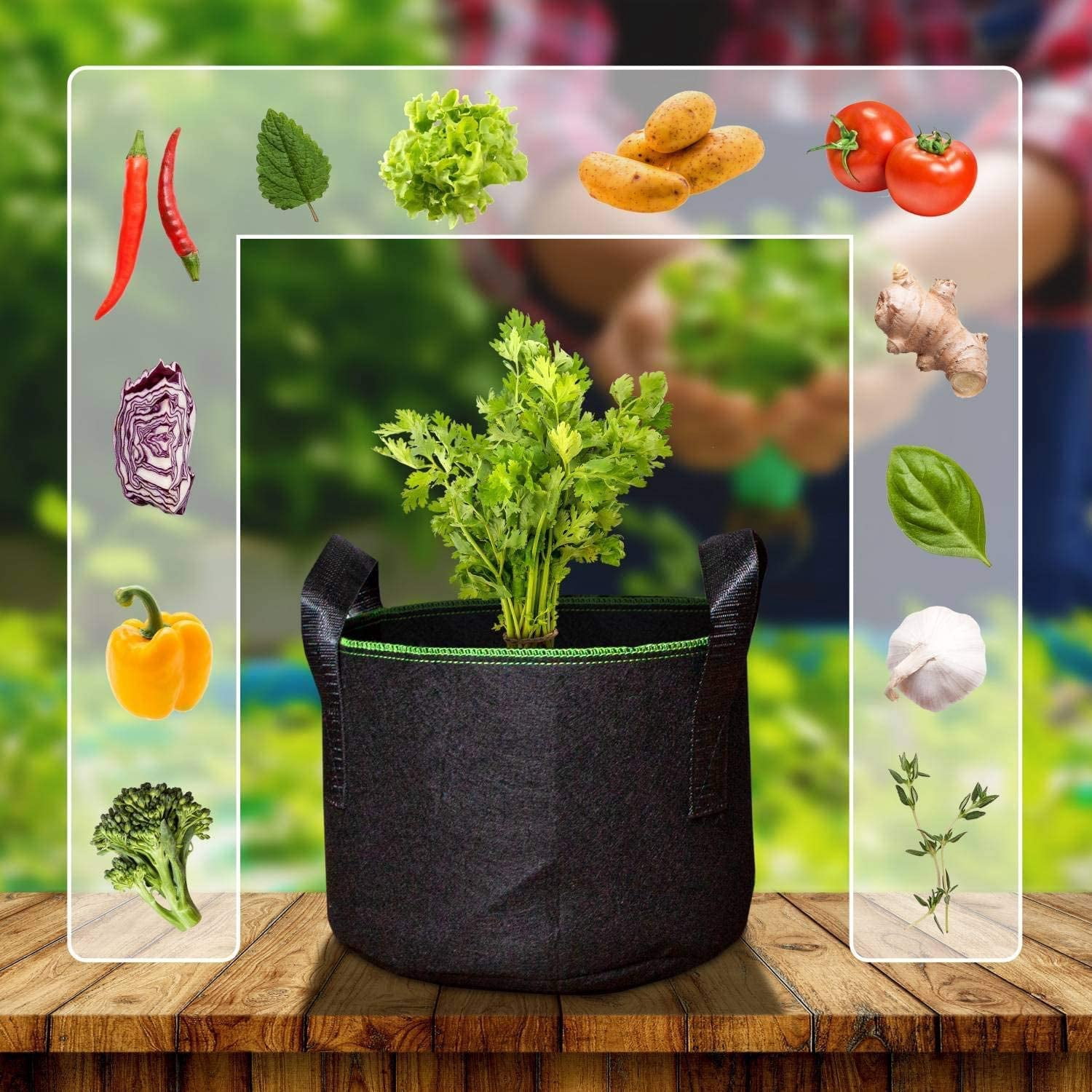 Lot De 3 Pots De Plantation En Tissu 19 Litres – Sacs Respirants Avec Poignées, Pour Légumes, Fleurs, Balcon