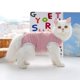 thumbnail image 5 of Ropa elástica de recuperación para gatos después de una cirugía, traje de destete para gatos pequeños, mono suave y transpirable para el cuidado de mascotas, 5 of 5