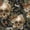 Dark, variant on Dark Gothic Wallpaper Skulls Ferns Peel and Stick Wallpaper Floral Wallpaper for Bedroom Bathroom Living Room 17.7''x118'' Removable Adhesive Skulls Art Decor Mural for Walls Cabinets Home