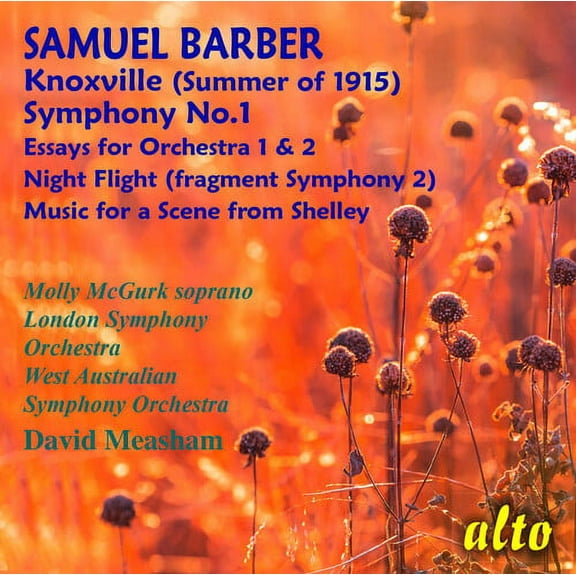 Molly McGurk - Samuel Barber: Symphony No. 1/ Essays Nos. 1 & 2 / Night Flight - Music & Performance - CD