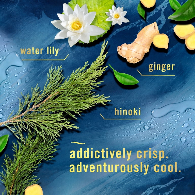 Air Freshener Spray, Ocean Scent, 2 Pack photo 4