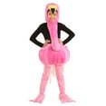 thumbnail image 3 of Graceful Kids Flamingo Costume, 3 of 4