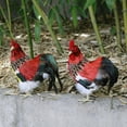 thumbnail image 2 of 2 Piezas Esculturas de Gallo Juguetes para Niños Conocer Animales, Herramienta de Educación Temprana, 2 of 8