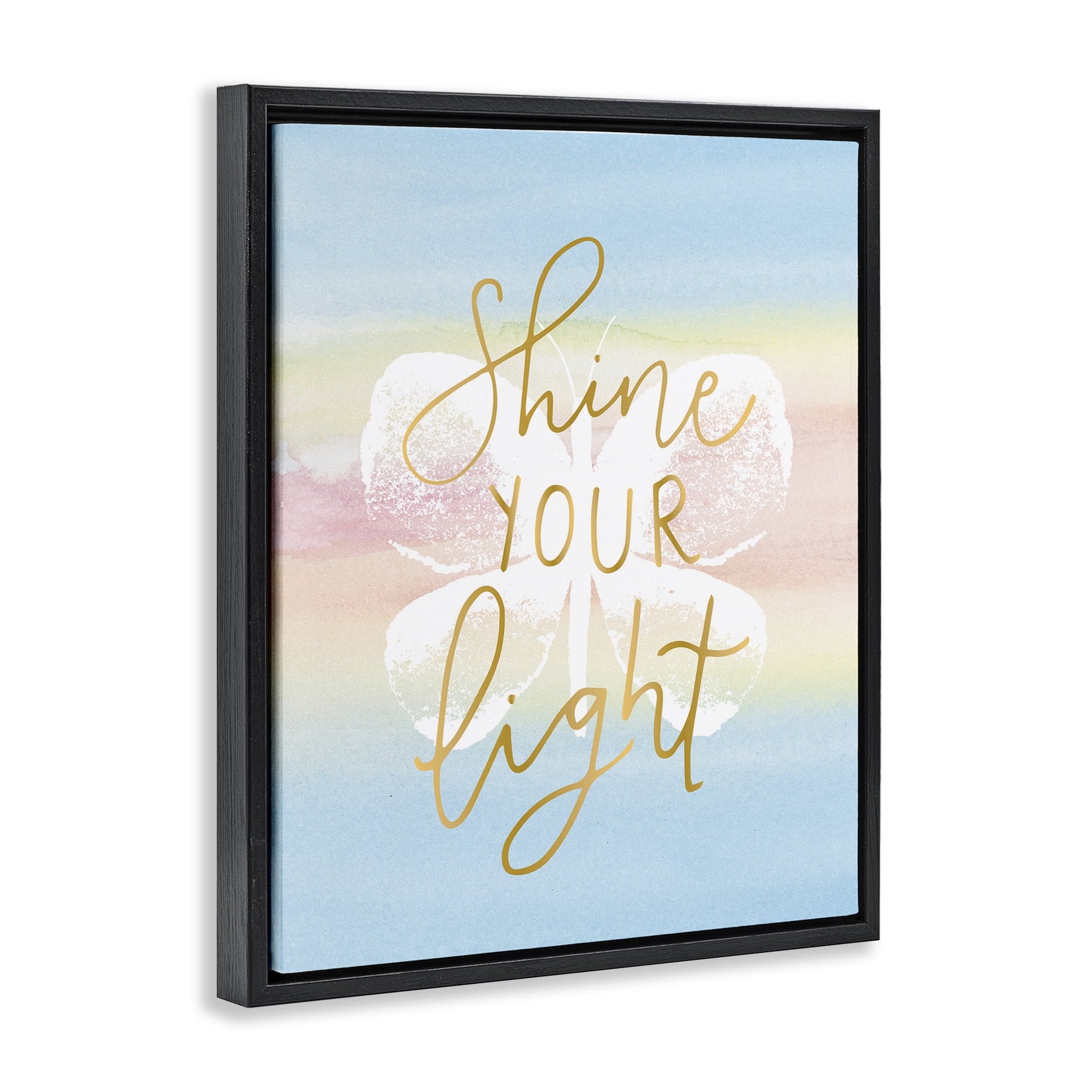 Stupell Industries Shine Your Light Animals & Insects Painting Black Floater Framed Art Print Wall Art, 17 x 21