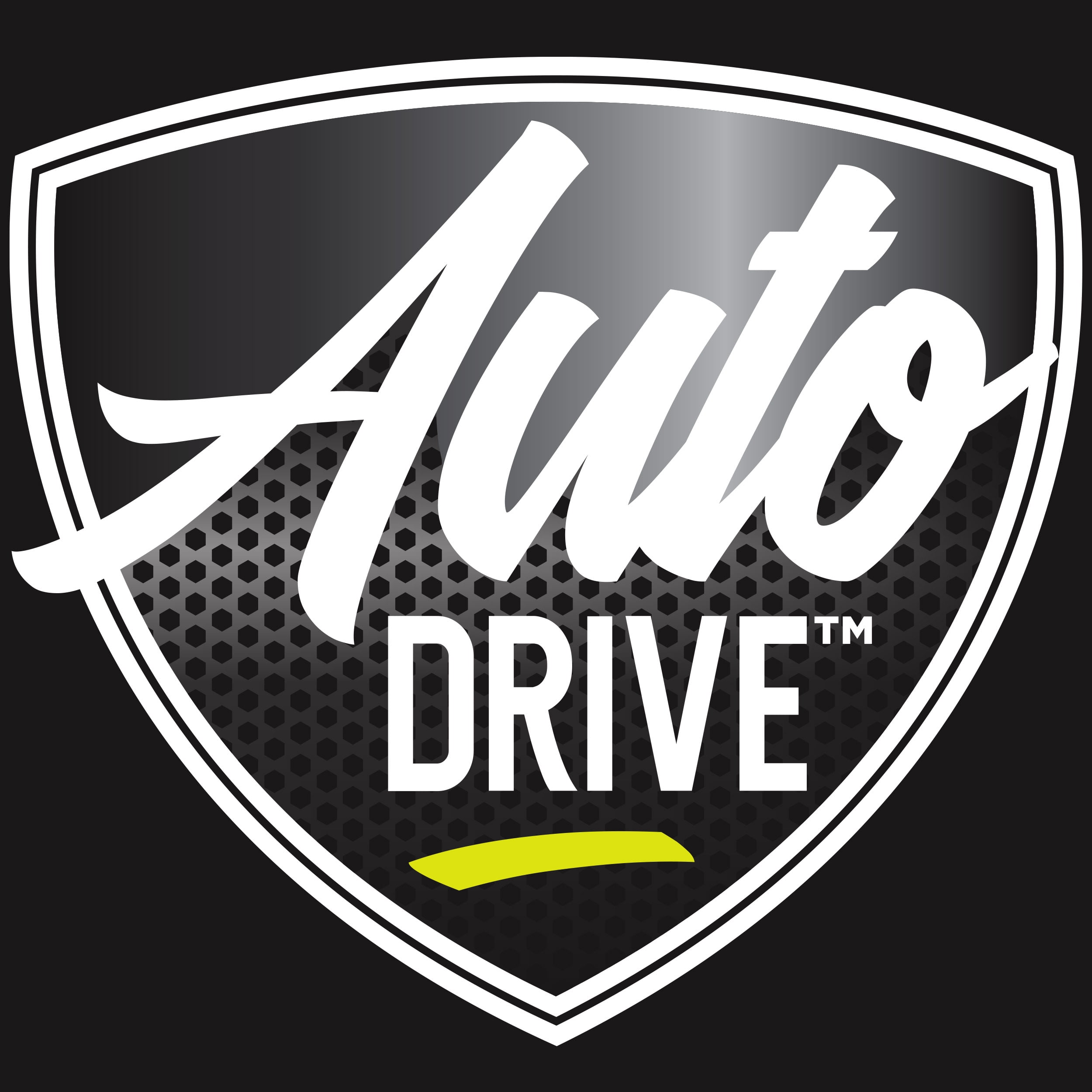 (2 pack) Auto Drive Smoke Unbreakable Domed License Plate Shield