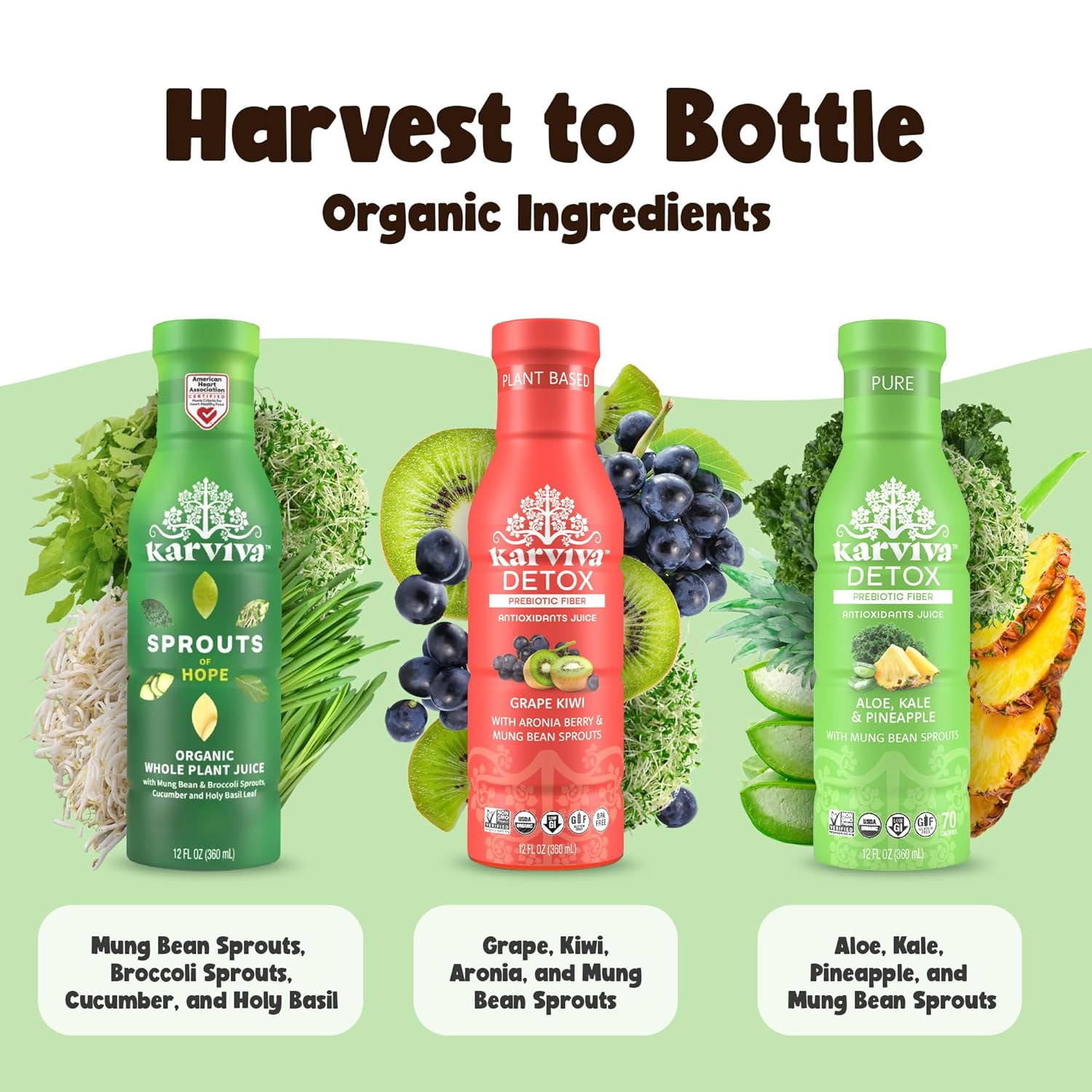 Karviva Sprouts Juice, 12 Fl oz (6-Count)