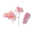 thumbnail image 2 of 5boxes Dried Flowers DIY Candle Soap Making Accessories with Plastic Rectangle box Pink 7.3~14x2.1~8.2cm, 2 of 2