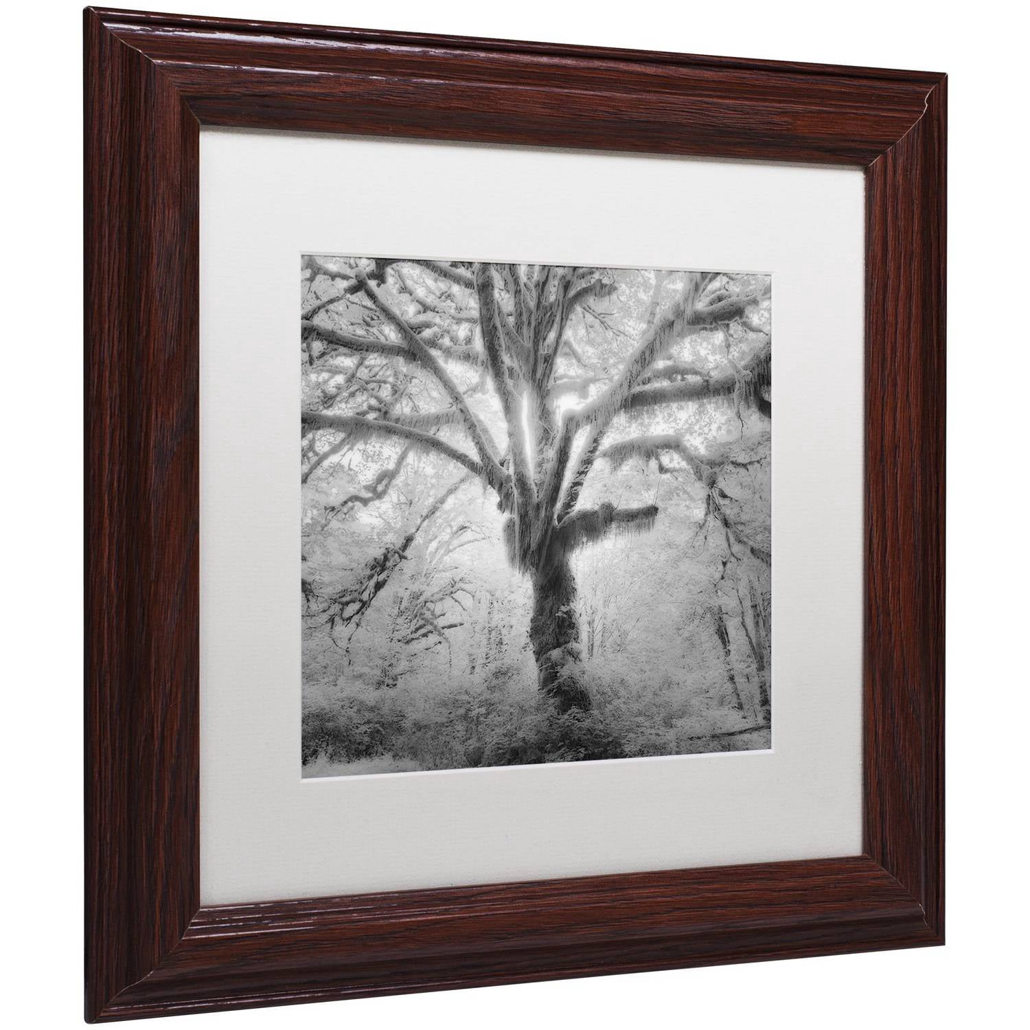 Moises Levy 'Lightning Tree II' Matted Framed Art