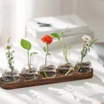 thumbnail image 2 of Plant Terrarium Propagation Station, Glass Planter Bulb Vase with Wooden Tray, Modern Bud Vases for Living Room Office, 2 of 7