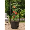 thumbnail image 3 of (2 pack) Harvest Bloom Garden Planter with Self-Watering System and Adjustable Trellis for Your Outdoor Balcony, Patio, or Backyard Garden by NuVue Products, 3 of 8