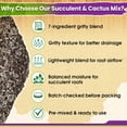 thumbnail image 4 of Succulents Soil Potting Mix – 7 in 1 Ingredients Well-Draining, Nutrient-Rich Cactus Potting Soil for Succulents and Cacti, Indoor & Outdoor Use, Ready to Use, Supports Healthy Root Growth, 1QT, 4 of 4