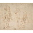thumbnail image 2 of Parmigianino 14x12 Black Ornate Wood Framed Double Matted Museum Art Print Titled: Horses (1530-40), 2 of 5